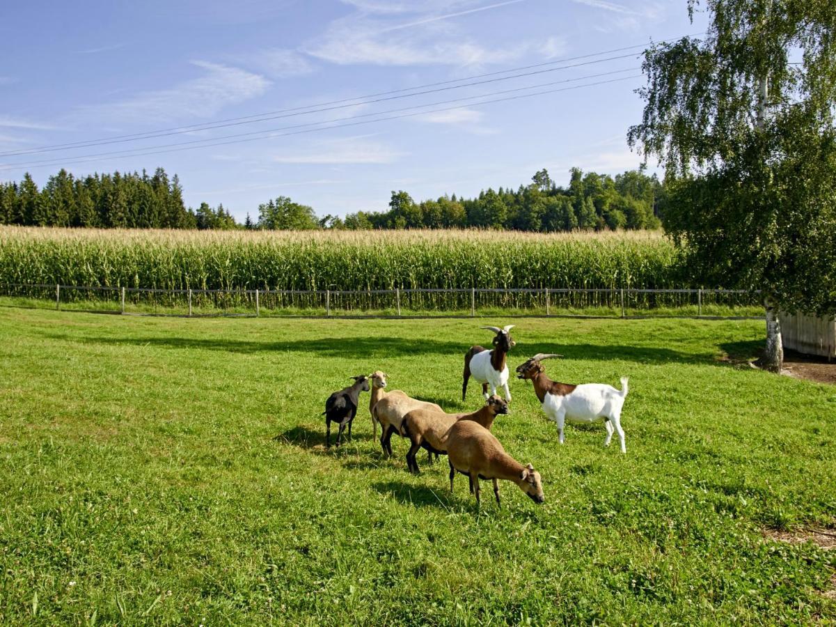 Ferienhof Dirnberg Amerang Exterior photo